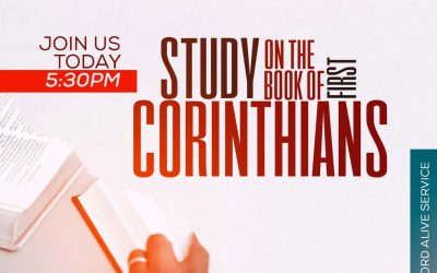 Study the Book of 1 Corinthians